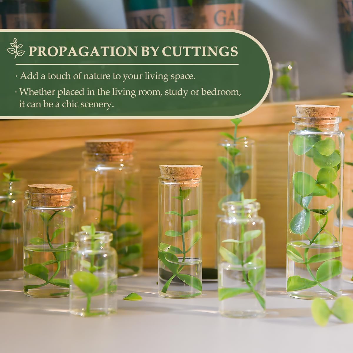 JIUYUE 4 pcs 150 ml Small Glass Cork Bottles,Storage Bottles for Liquids(5.07 oz-1.85x4.72 inch)