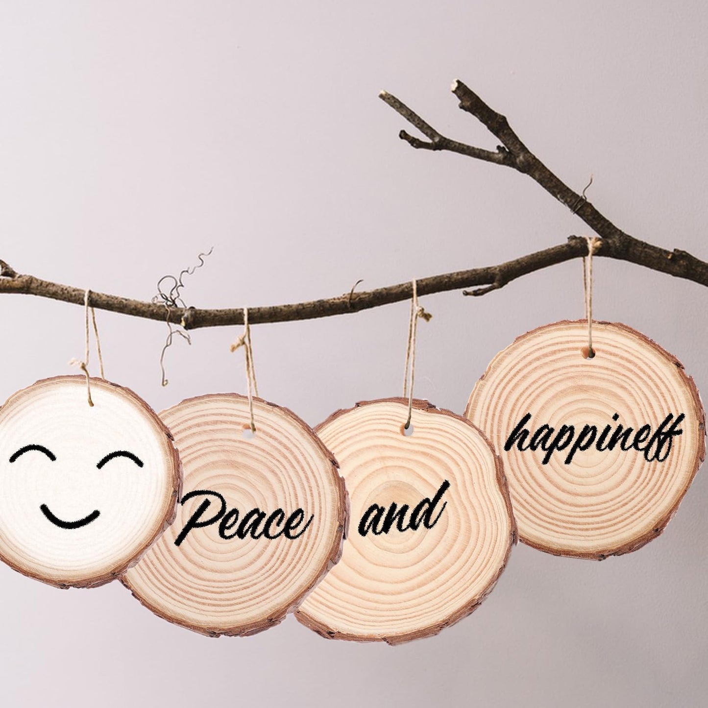 60 PCS 3.2-3.6inch Unfinished Wood Slices, Natural Wood Slices, Predrilled with Hole Wood Slice for DIY Arts Craft Christmas Ornaments