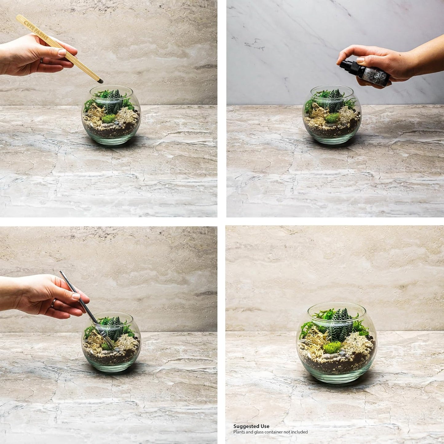 Cute Farms Terrarium Starter Kit | Moss, Vermiculite, Soil, Pebbles, Plant Food, Finishing Tools, Build and Care Guide | DIY Succulent Terrarium for Adults and Kids (Large)