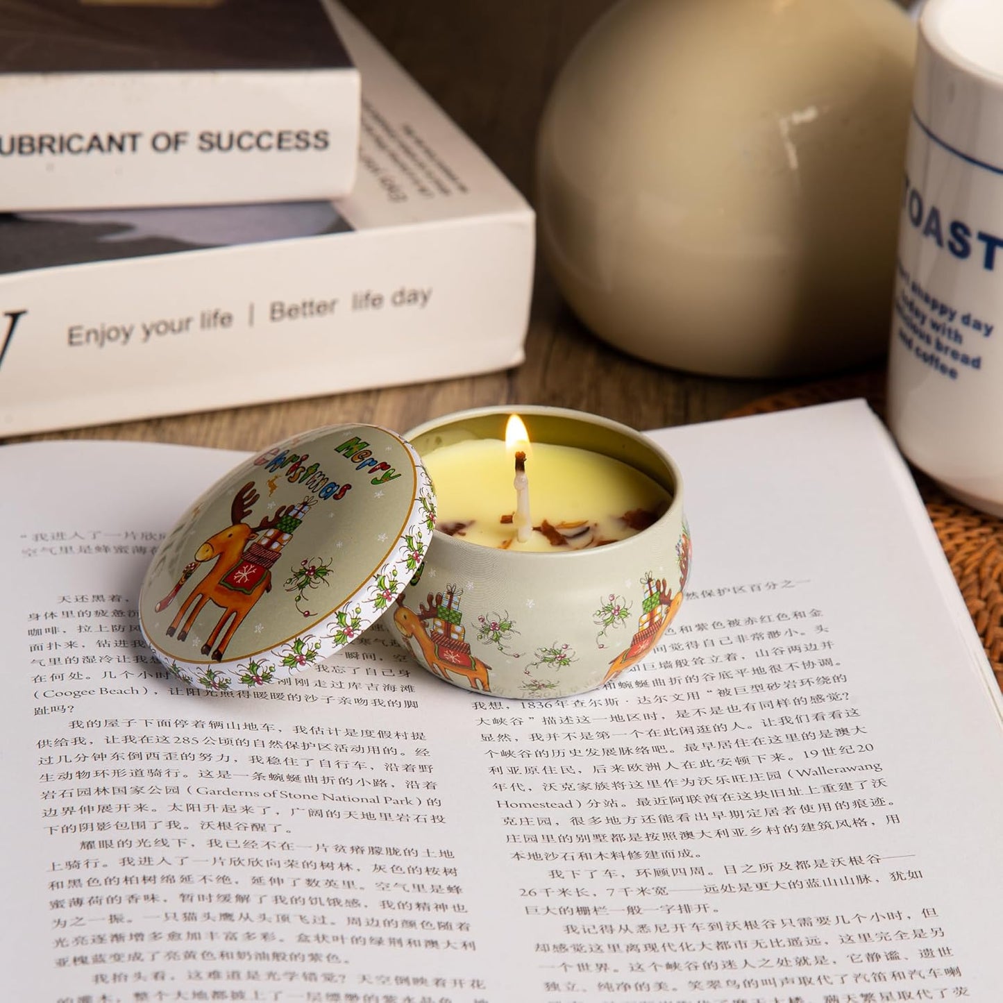 Christmas Scented Candle Set – Holiday Soy Wax Aromatherapy Candles for Home Décor, Winter Relaxation & Stress Relief, Festive Gift for Women, Stocking Stuffers, Secret Santa