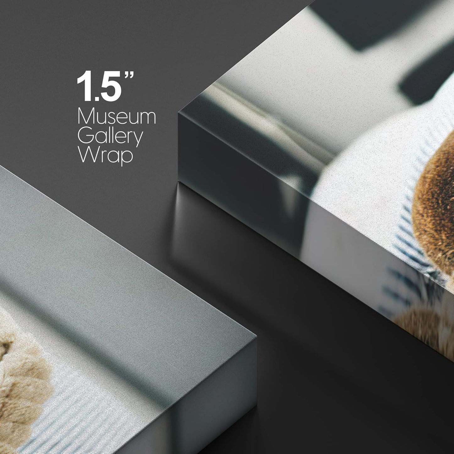 NWT Custom Canvas Prints with Your Photos for Pet/Animal, Personalized Canvas Pictures for Wall to Print Framed 11x14 inches