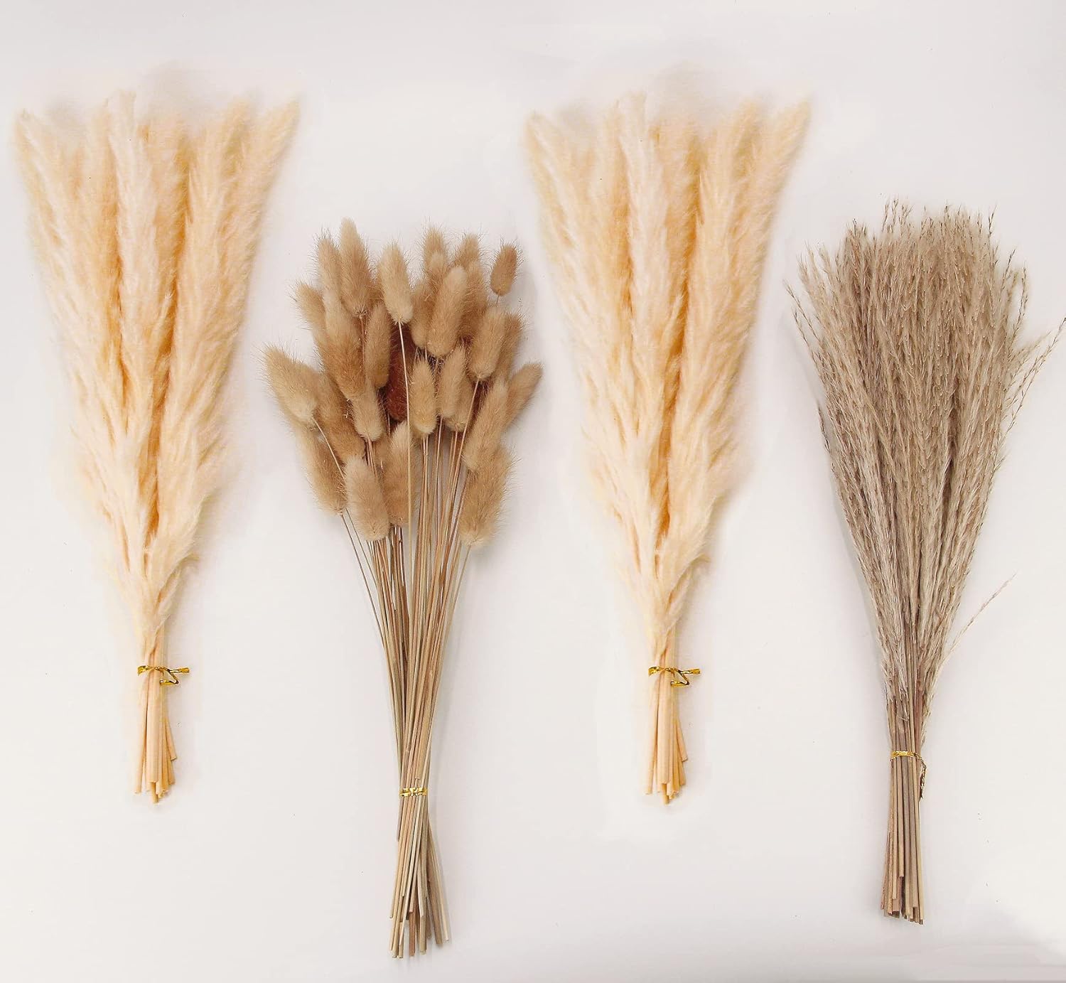 Dried & Preserved Flora