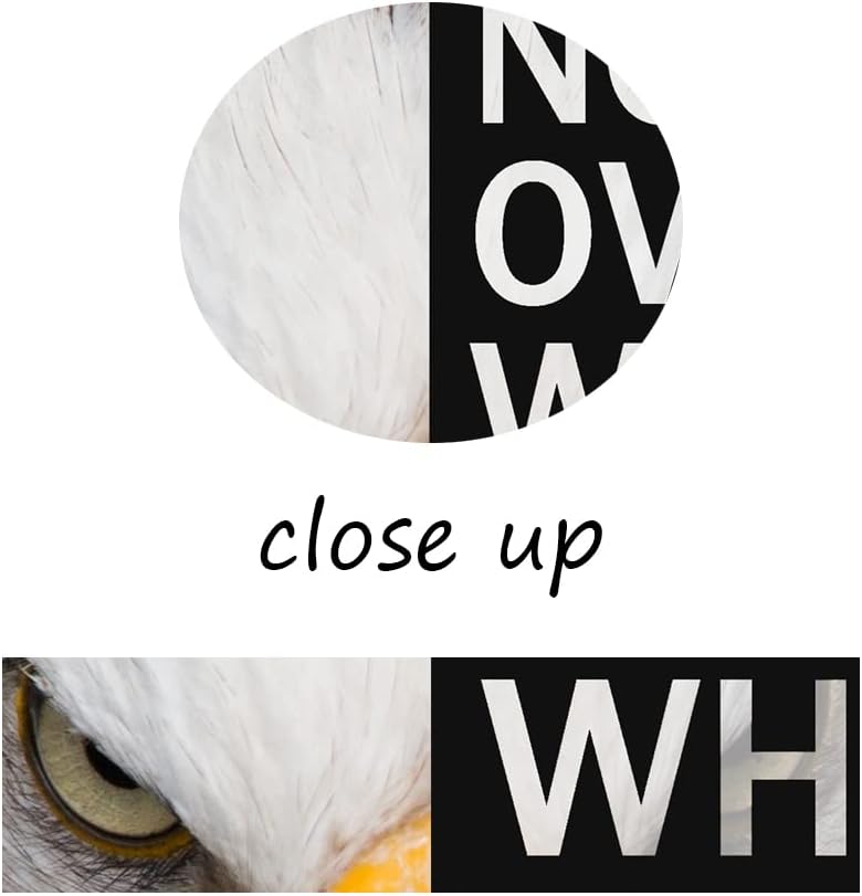 WYJZDZQ8 Animal Motivational Canvas Office Print Wall Art Eagle Inspirational Picture Animal Poster Painting Modern Inspiring Artwork for Home Living Room Office Decor Ready to Hang [12''W x 18''H]