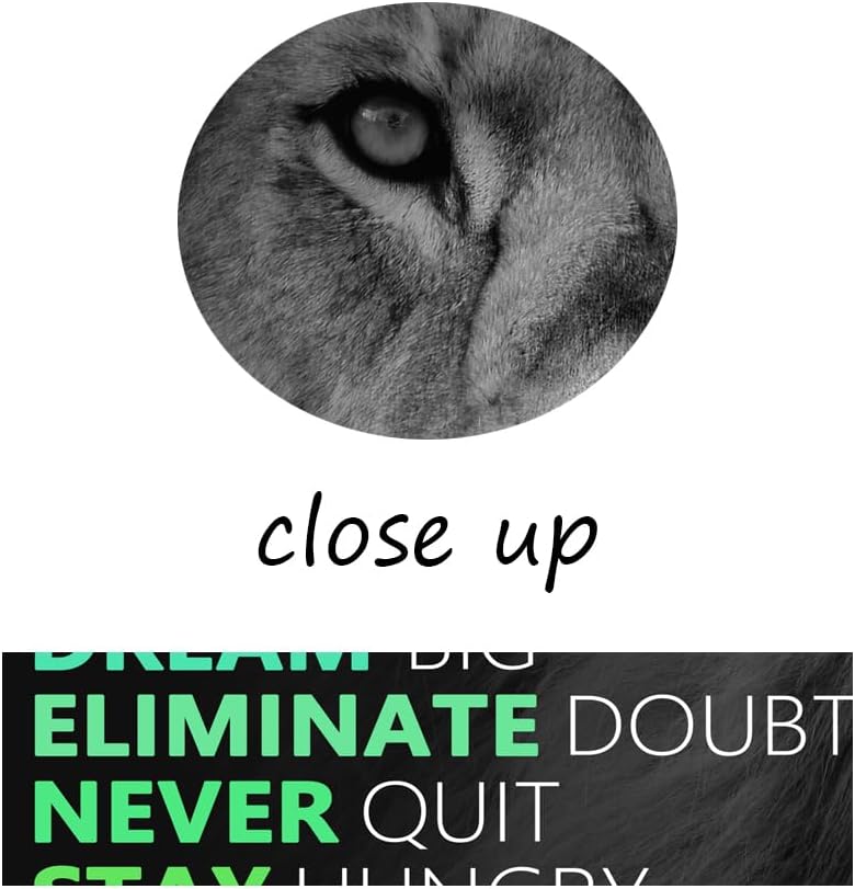 Motivational Lion Canvas Wall Art Colorful Poster Painting Artwork Inspirational Picture Print Wall Decor for Home Office Living Room Bedroom Workplace Wooden Framed Ready to Hang [18''Wx 24''H]