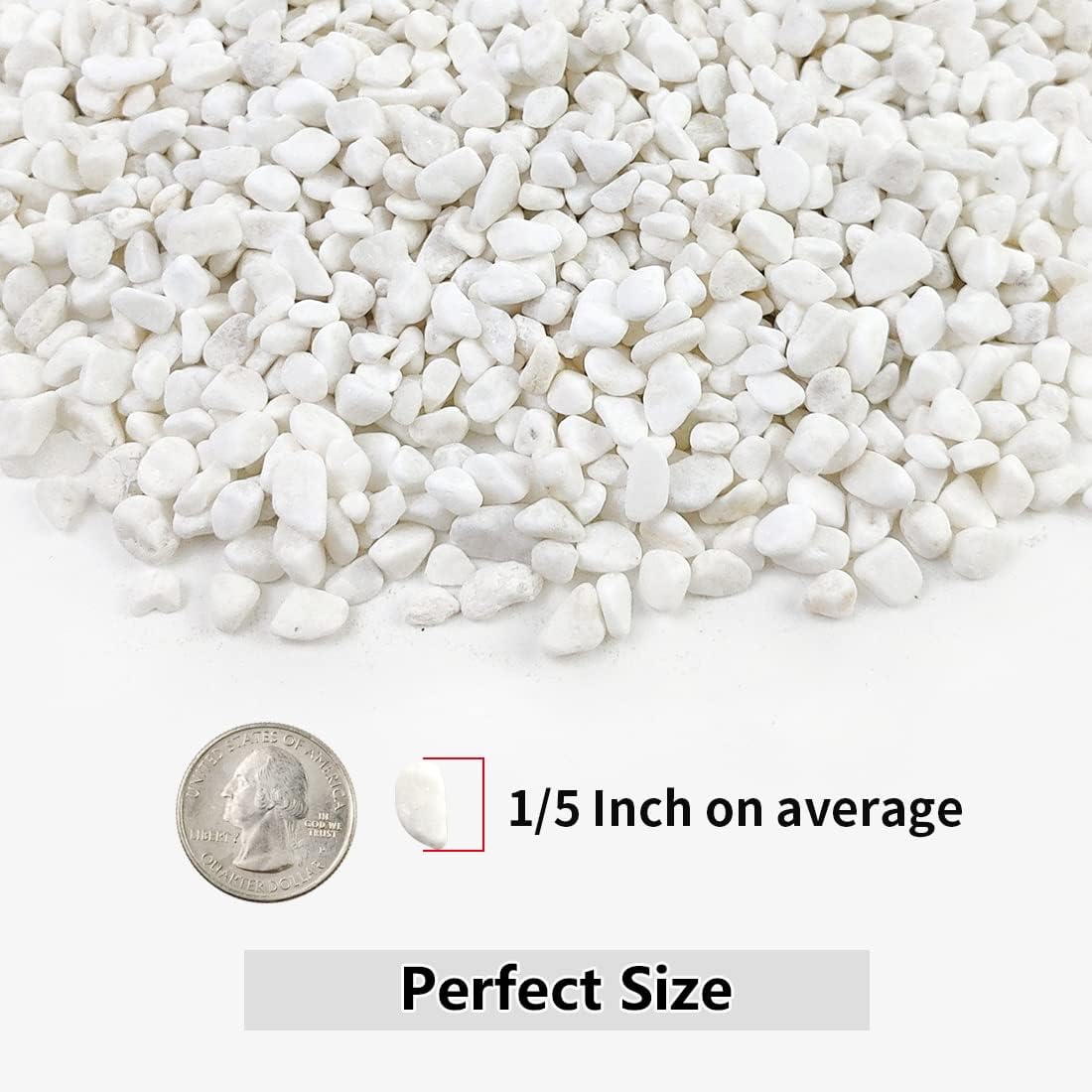 5LB Succulent and Cactus Gravel Pebbles, 1/5 Inch White Natural Decorative Polished Stones, River Rocks for Plants, Vases, Aquariums, Terrarium and Outdoor Gardening