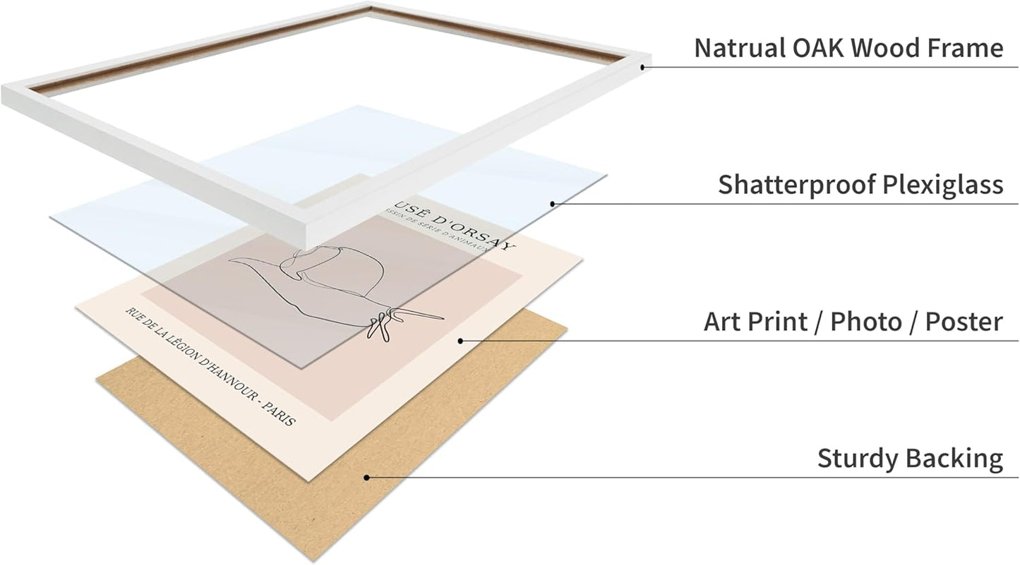 Poster Master Vintage Poster - Retro One Line Snail Drawing Print - Snail Line Art - Minimal Gift for Men, Women, Animal Lover - Abstract Wall Decor for Home, Office, 8x10 White Framed