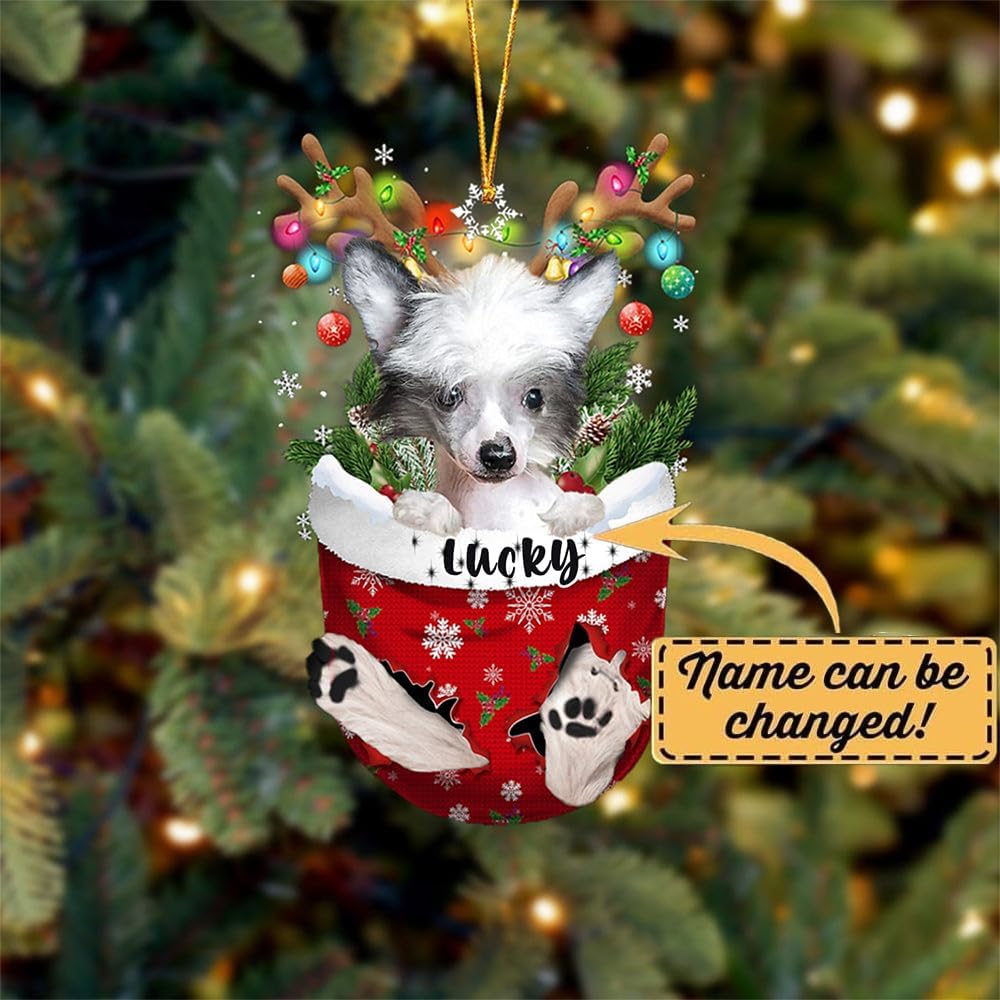 Chinese Crested Dog Christmas Ornament, Chinese Crested in Snow Pocket Christmas Tree Ornament, Dog Lovers Gift Idea Xmas Decor, Christmas Decorations for Tree, Christmas Ornament Gift for Dog Lovers