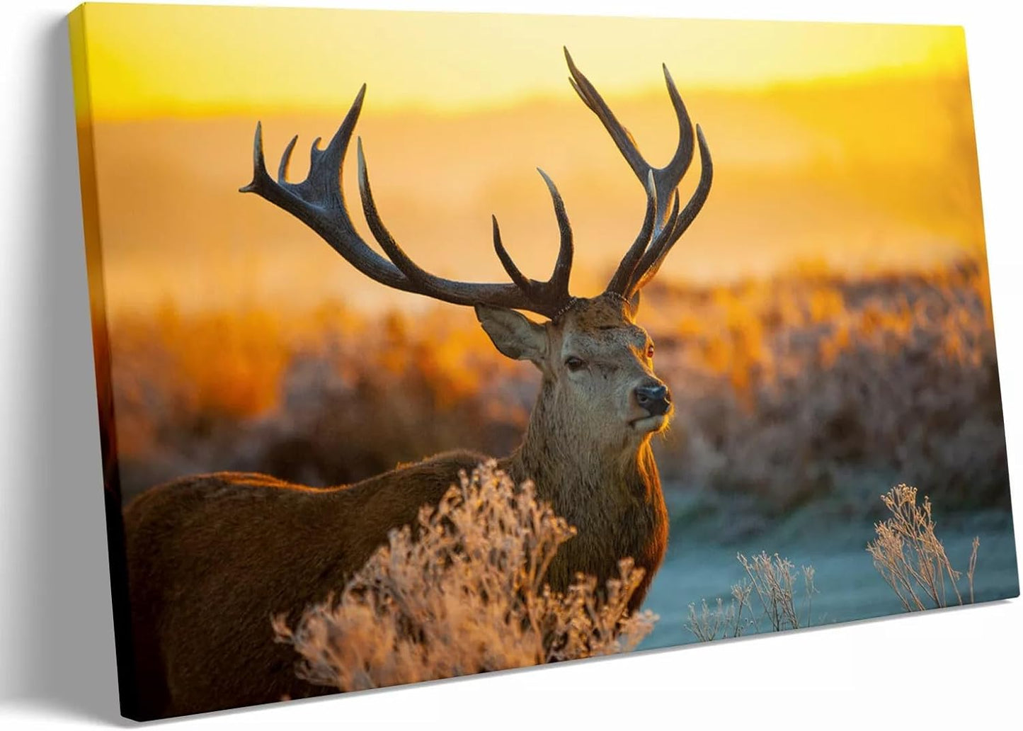 Personalized Custom Canvas Prints: 8L x 12W Framed Photo On Canvas Transform Your Photos into Stunning Wall Art Digitally Printed (8L x 12W, Framed)