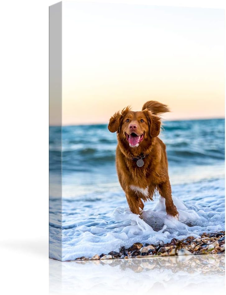 NWT Custom Canvas Prints with Your Photos for Pet/Animal, Personalized Canvas Pictures for Wall to Print Framed 14x11 inches