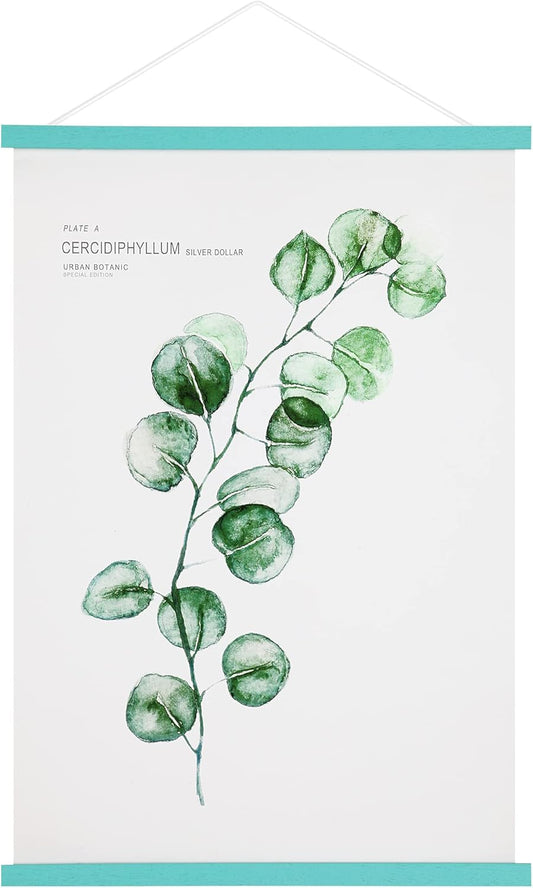 FALAMON Magnetic Poster Hanger Frame, 20x30 20x24 20x28 20x20 Solid Wood Magnetic Frame for Posters, Prints, Photos, Pictures, Maps, Scrolls, and Canvas Artwork (Light Blue, 20")