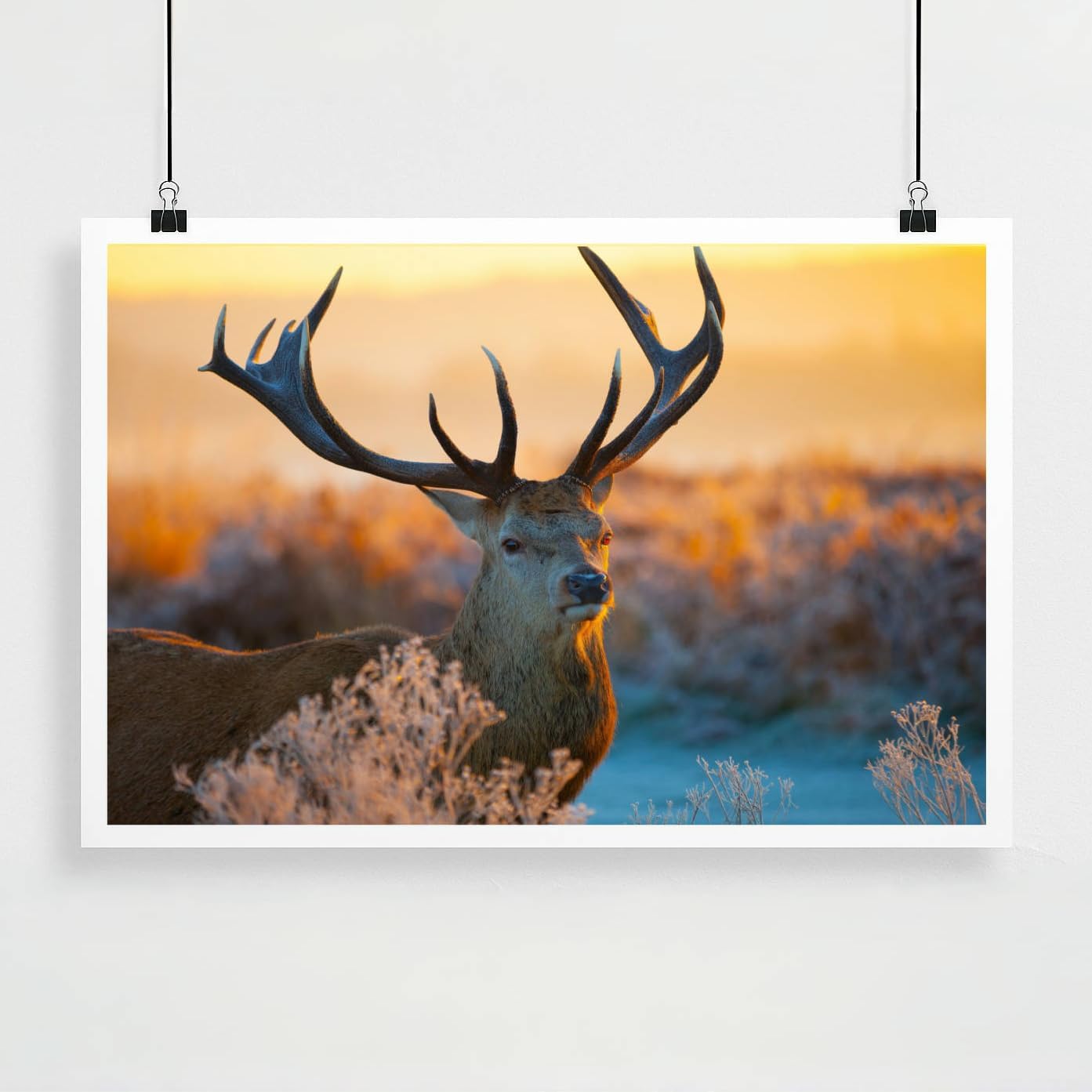 Personalized Custom Poster Prints: 24L x 36W Photo On Canva Transform Your Photos into Stunning Unframed Wall Art Digitally Printed (24L x 36W, Unframed)