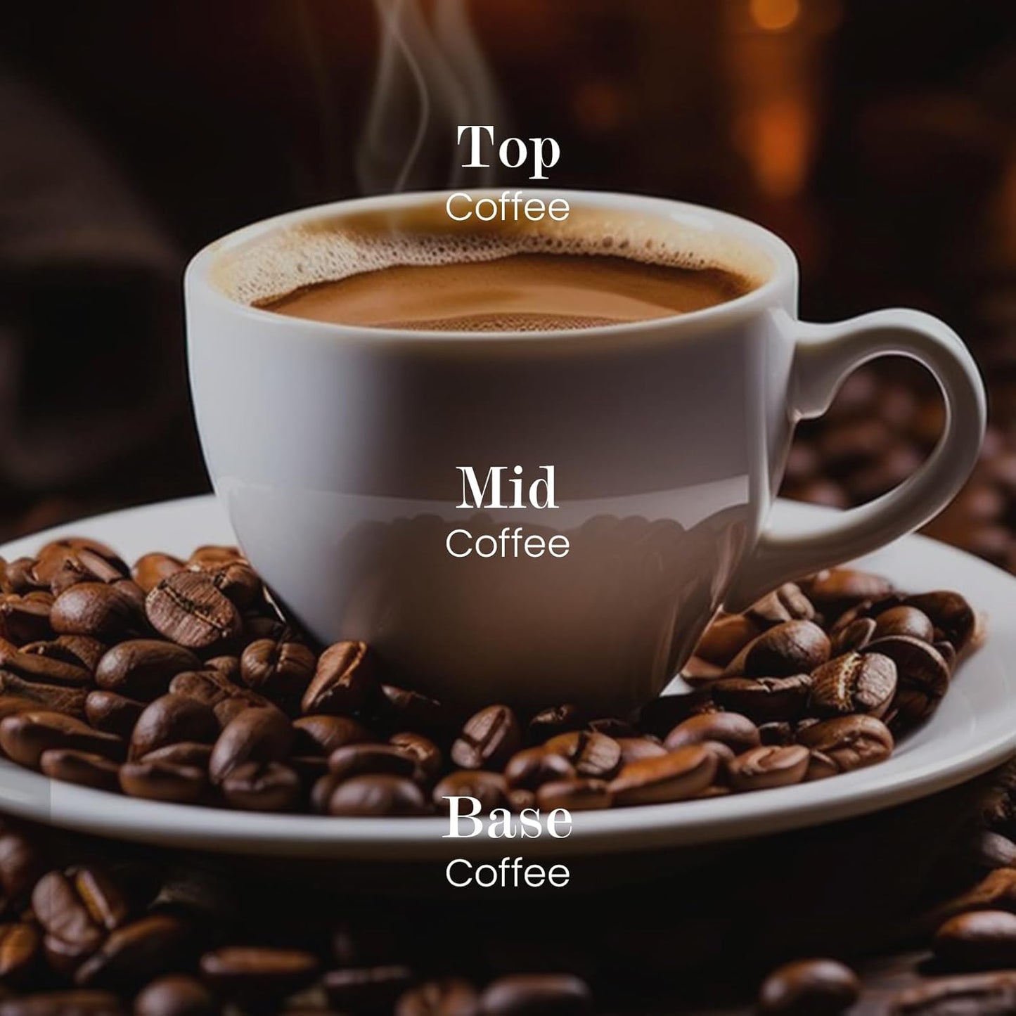 M&SENSE Natural Soy Candle| Espresso Love | 5.3 oz | Minimalist Scented Candle for Relaxation, Gifting, Home Décor | for Bedroom, Office, Party Small