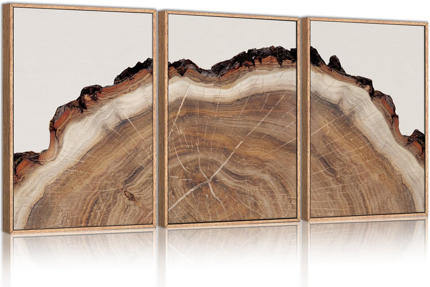 HPINUB Framed Tree Rings Wood Wall Art Set, Modern Beige Wood Stump Wall Decor, Abstract Black and Gray Tree Spiral Wall Painting, Nature-Inspired Art Print for Living Room, Bedroom, Office-24"x36"x3