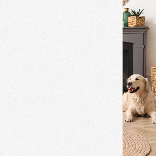 HIDBEA Frosted Window Privacy Film - Non Adhesive Static Cling Glass Stickers Sun UV Blocking Heat Control Door Covering Decals for Home Office, Frosted White, 11.8 x 78.7 Inch