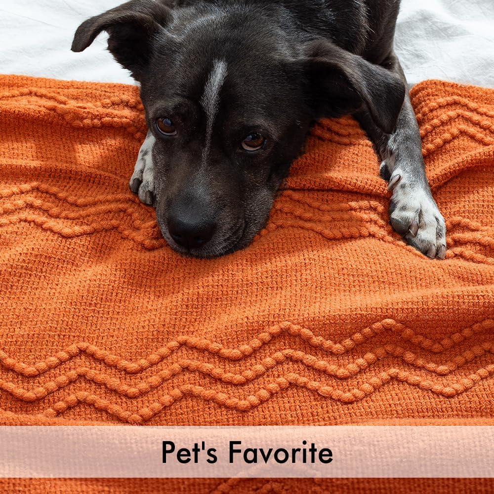 MIULEE Burnt Orange Knitted Throw Blanket for Couch Boho Textured Cozy Woven Blanket with Tassels for Sofa Chair Bed Living Room Fall Home Decor Farmhouse Acrylic Wave Pattern 50"x60"