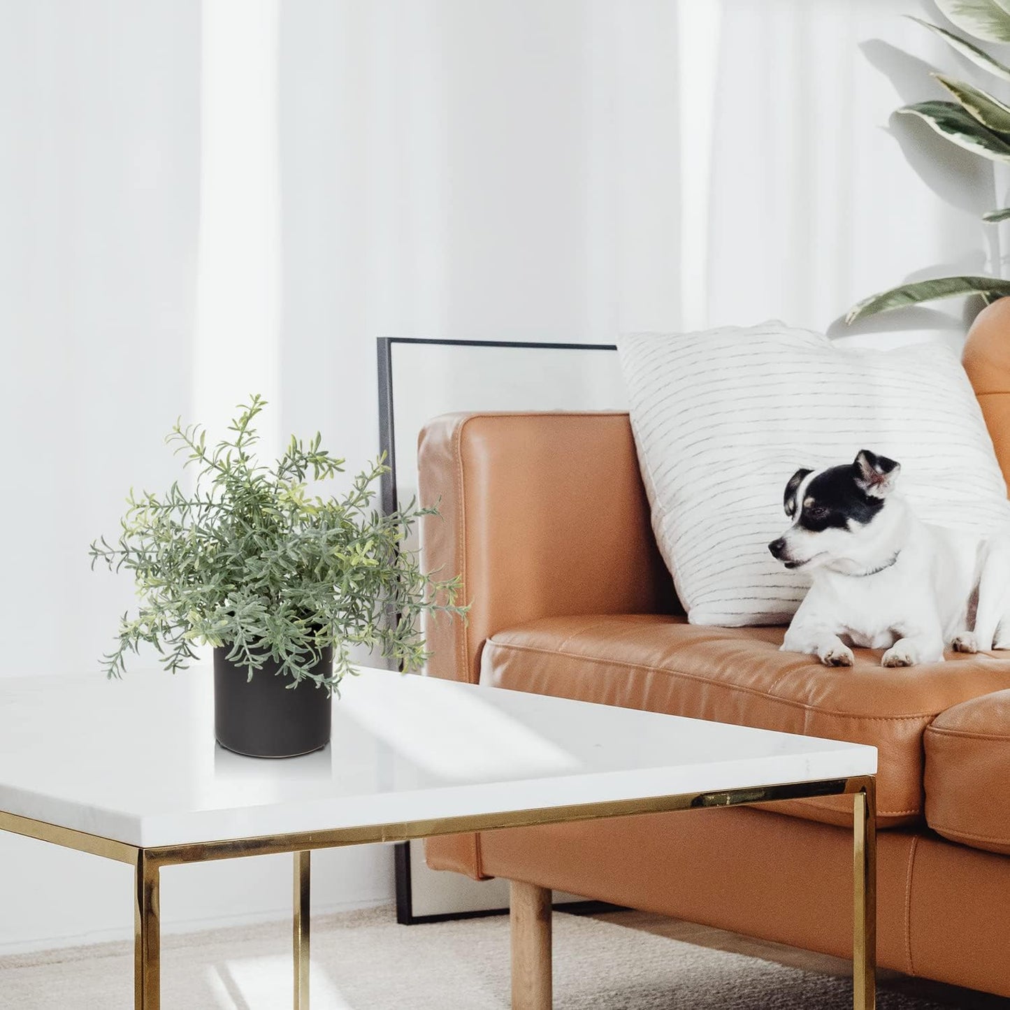 3 Pack Small Fake Plants for Shelf Decor Accents with Ceramic Pot Artificial Potted Plants for Rustic Farmhouse Decor Faux Plants Indoor Fake Potted Plants Artificial for Home Office Bookshelf Decor