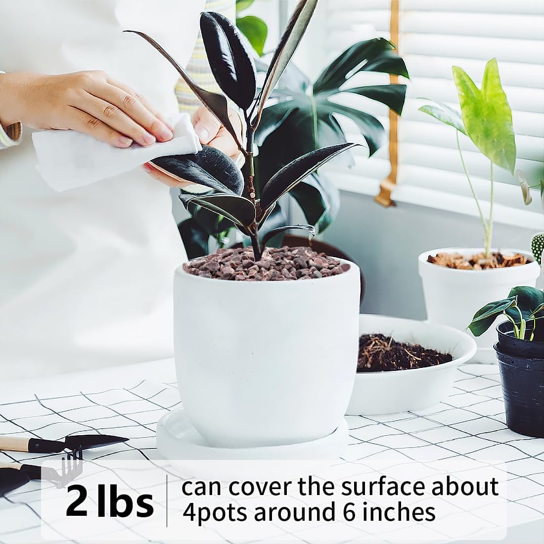 2LB Succulent and Cactus Gravel Pebbles, 1/5 Inch Natural Decorative Polished Stones, River Rocks for Vases Gardening Indoor and Outdoor Decorative Rocks, Red