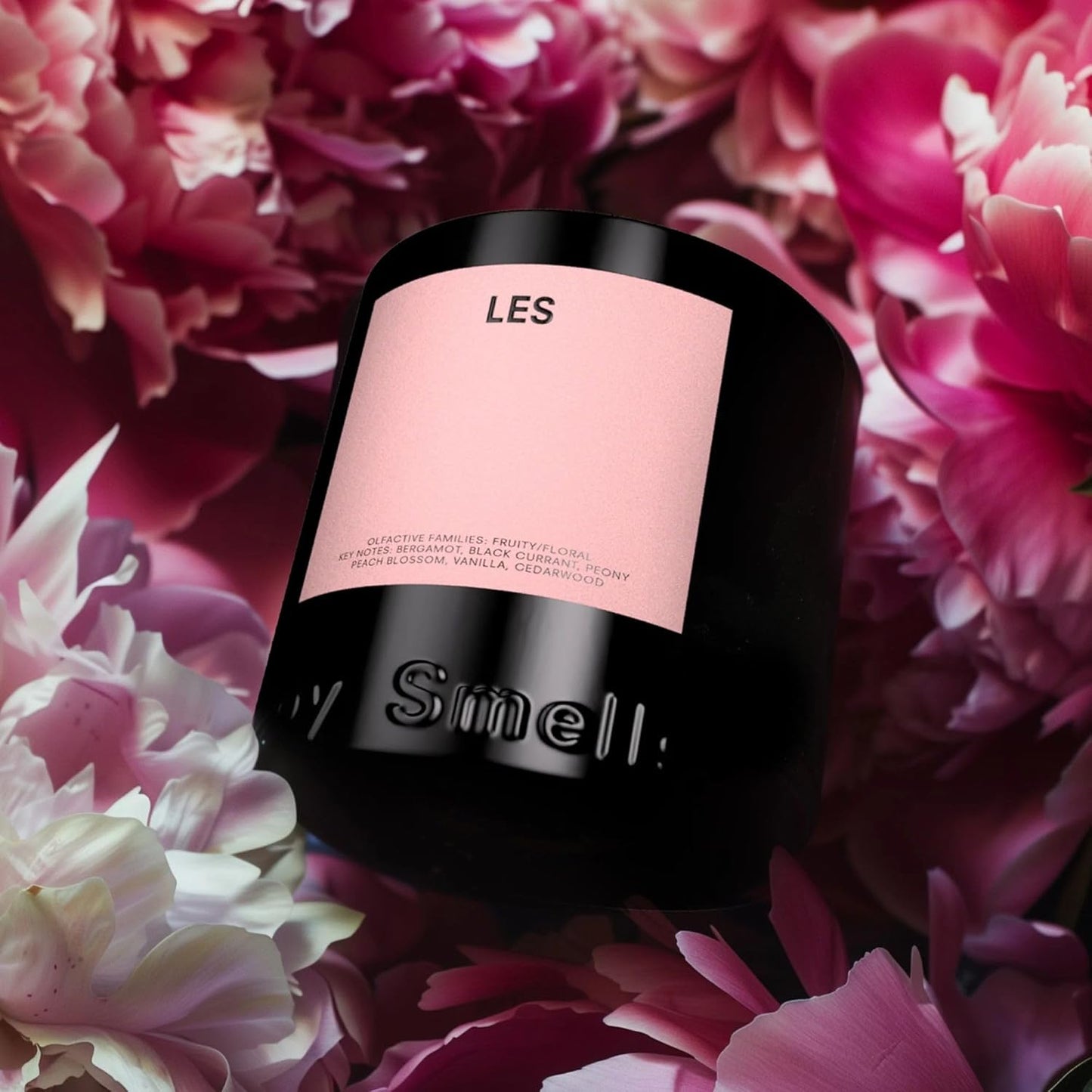 Boy Smells Les Scented Candle for Men and Women, Coconut, Beeswax, & Soy Candle Blend, Aromatherapy Candles for Home, 8.5 oz Jar, 50 Hour Burn