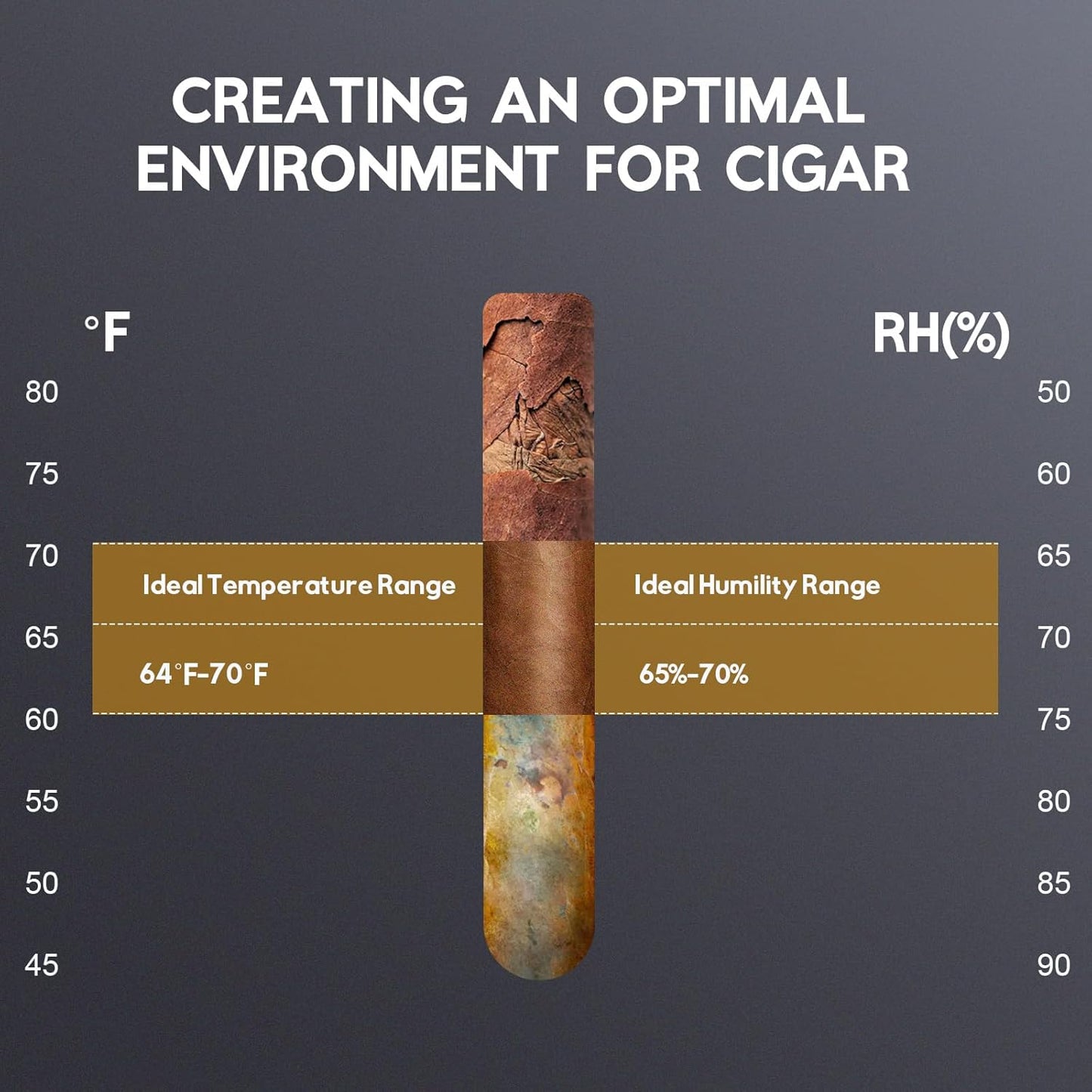 Electric Cigar Humidor Cabinet 88L, Tylza Electric Humidors for Cigars with Temp & Humidity Control, Silent Compressor, Reversible Door, Refrigerator, Cigar Humidors with Cedar Wood Shelves, 546 Count