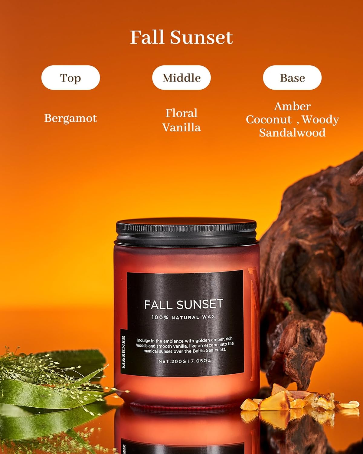 M&SENSE Baltic Amber Scented Organic Soy Wax Clean Non Toxic Candle, Cotton Wick 7.05oz Up to 50 Hours Burn Time, Housewarming Candle for Home Scented