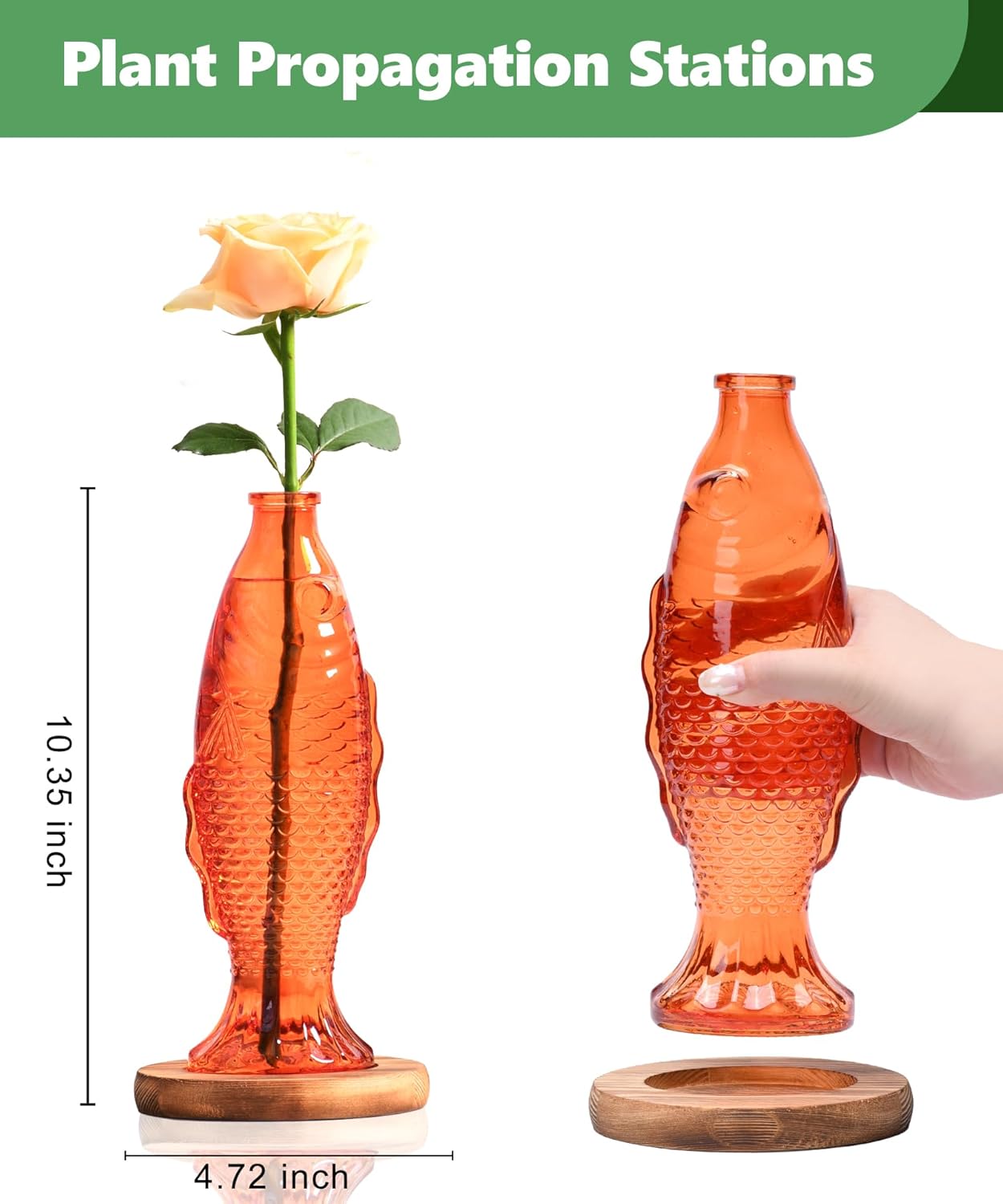 Nacome Fish Vase Glass Plant Terrarium with Wooden Stand,Planter Propagation Station for Home Office Hydroponics Desk Decoration,Unique Gardening Gifts for Plant Lovers Women Mom(Orange)