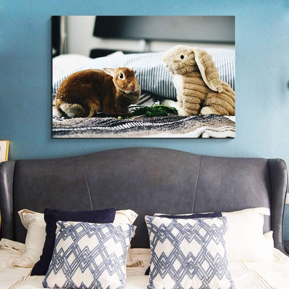 NWT Custom Canvas Prints with Your Photos for Pet/Animal, Personalized Canvas Pictures for Wall to Print - 16x20 inches
