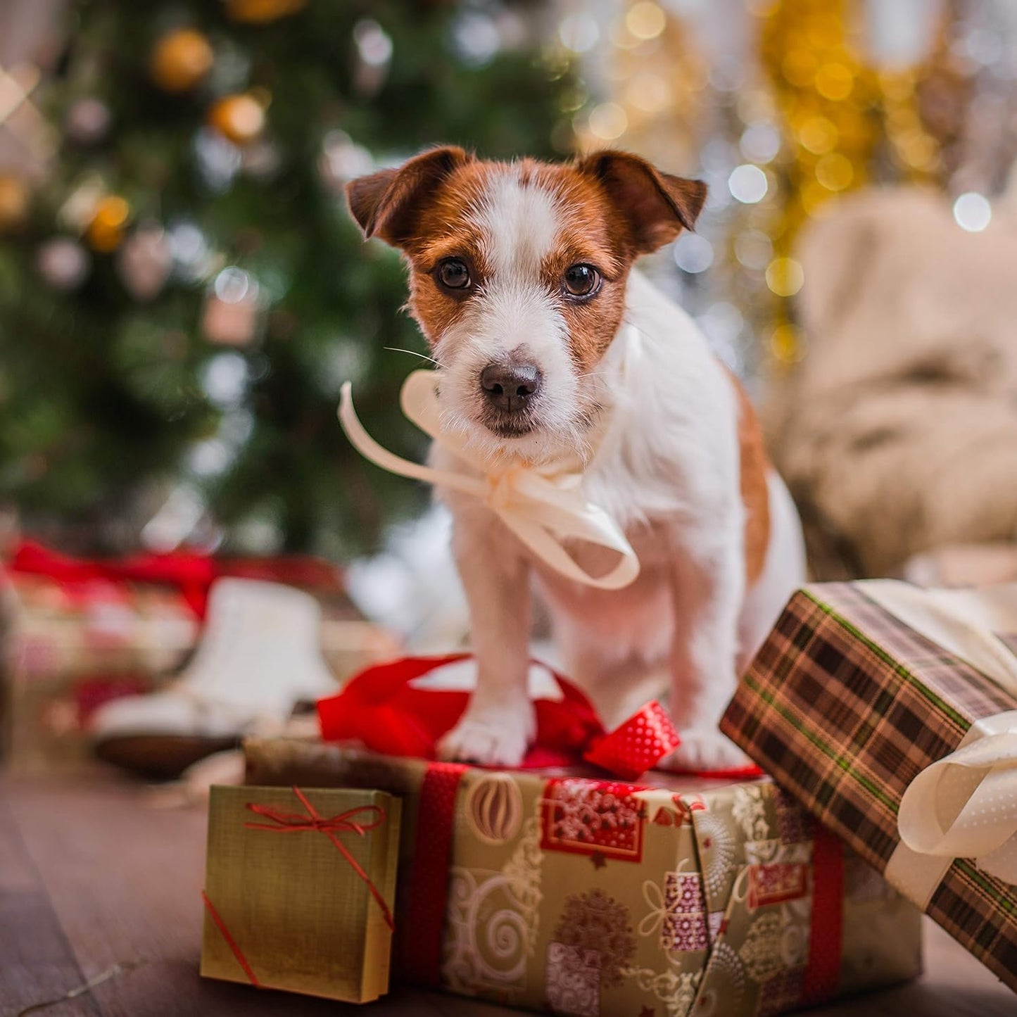 1st Retired Christmas Ceramic Christmas Tree Ornament Collectible Holiday Keepsake 2.875" Round Ornament in Decorative Gift Box with Bow- Perfect Retirement Gifts for Women or Men!
