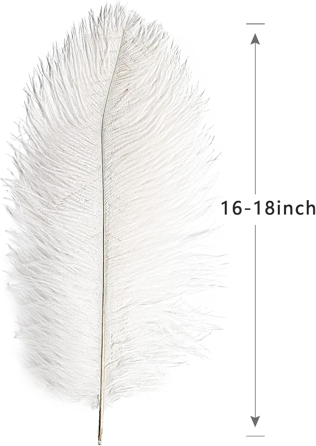 THARAHT 12pcs White Ostrich Feathers Natural Bulk 16-18Inch 40cm-45cm for Wedding Party Centerpieces Easter Gatsby and Home Decorate Ostrich Feathers