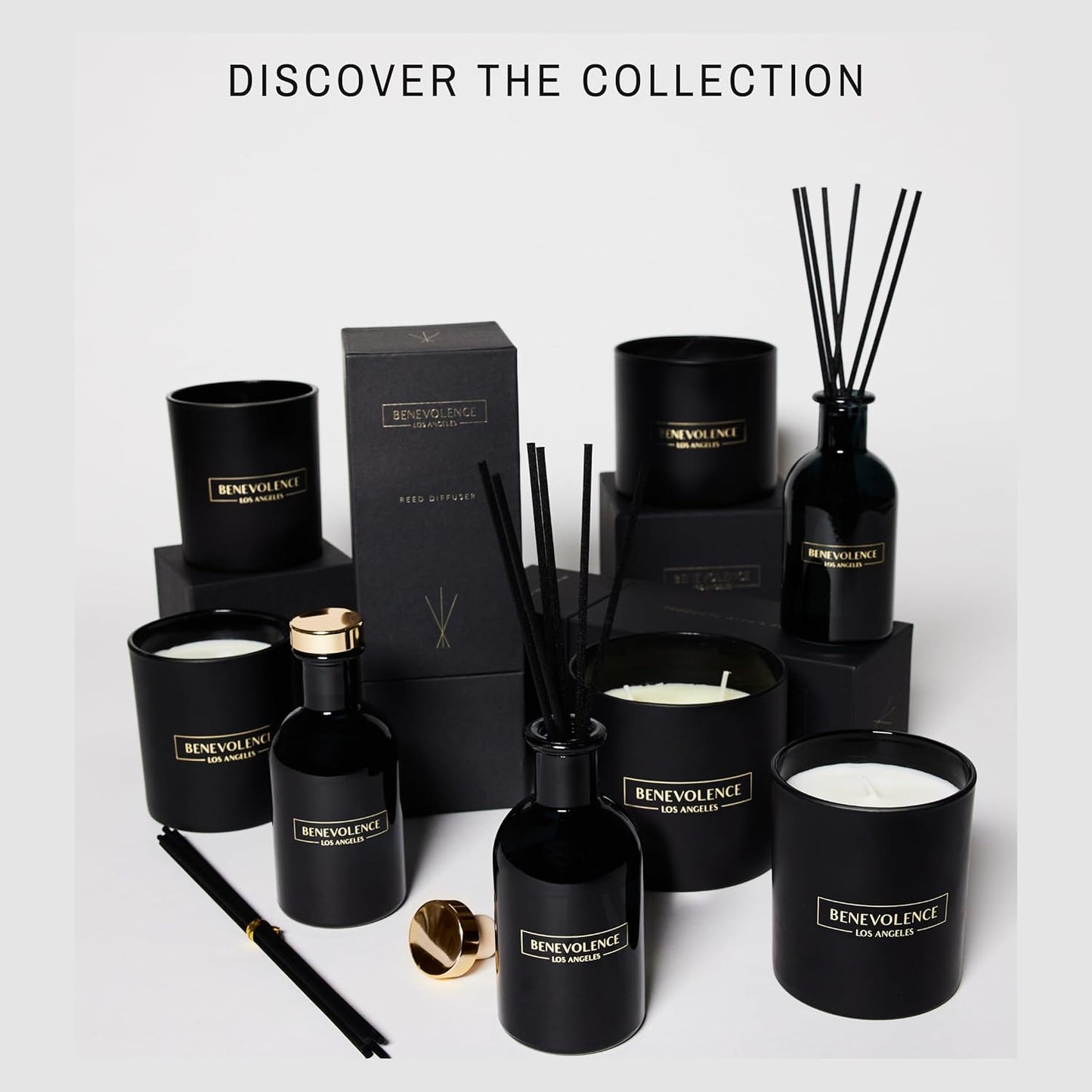 Benevolence LA 3 Wick Candle, Fig Tree Large Scented Candle | Soy Candles | Gifts for Women and Men | Home Fragrance | Aromatherapy | Bathroom Freshener 14.5 Oz, 45 Hour Burn