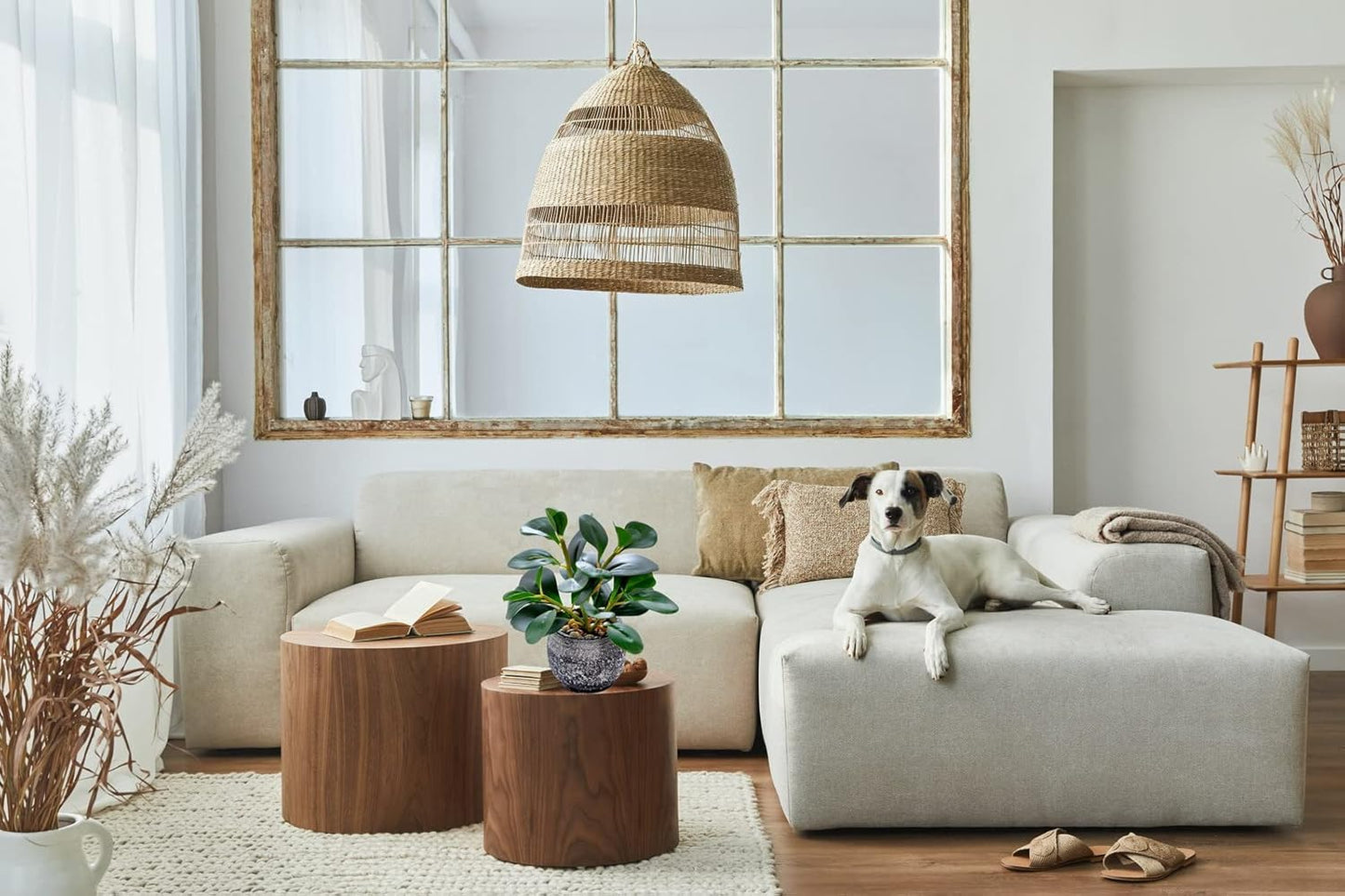 AlphaAcc Artificial Plants Potted Real Looking Small Faux Plant with Rustic Black Cement Planter for Kitchen Office Desk Bookshelf Decor (Ficus Plant)