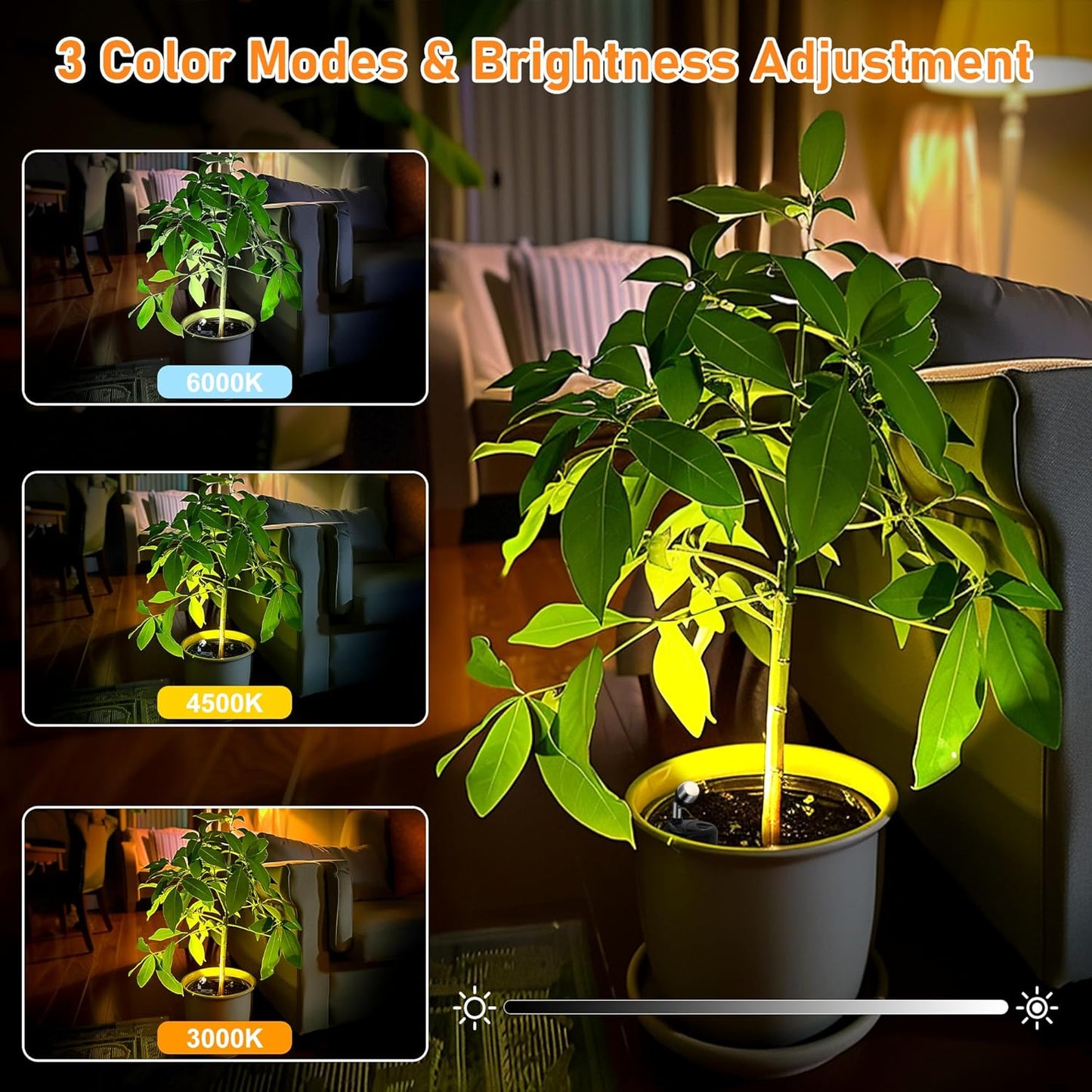 4 Pack Wireless LED Spotlights Indoor, Plant Battery Operated Tree Lights, Uplighting Picture Light with Remote, Accent Lights for Display Artwork Dartboard