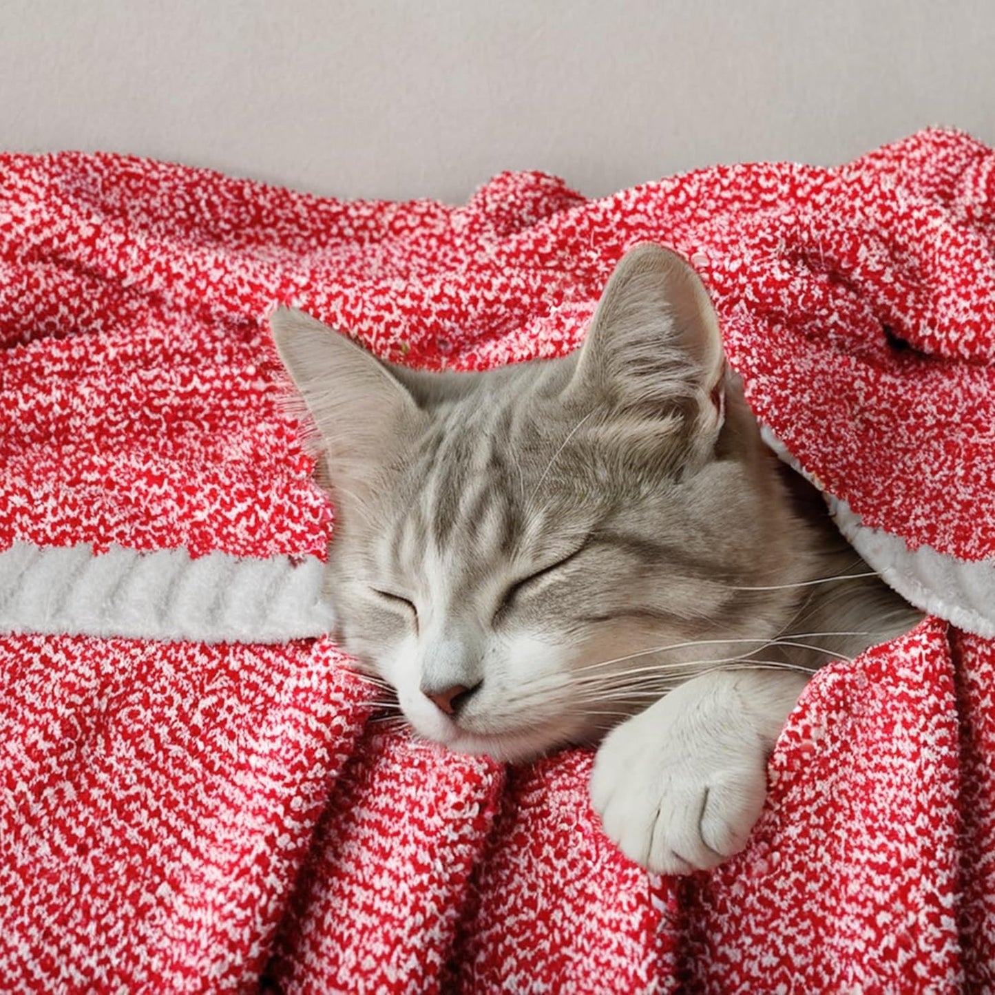 MIULEE Red Super Soft Throw Blanket for Couch, Cozy Fluffy Warm Blankets Lightweight Knit Throw Blankets for Sofa, Bed, Chair, Living Room, Camping, Picnic, 50 x 70 inch