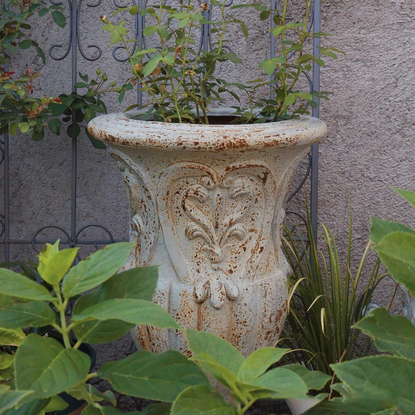 Vintage European Giant Garden Urn Planter, Decorative Cement and Fiber Flower Pot, Make Rust Finished, Wrap Foam Safely Delivered from Local Warehouse (Vintage, Large)