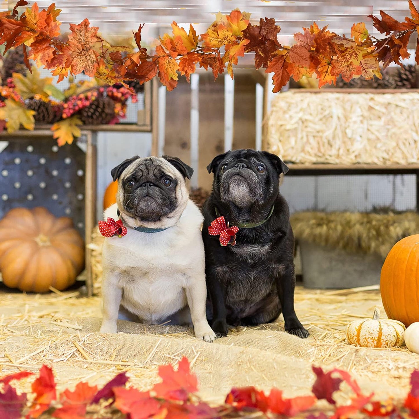 DearHouse 2 Pack Fall Maple Leaf Garland - 5.9Ft/Piece Hanging Vine Artificial Autumn Foliage for Thanksgiving, Home, Wedding, Fireplace, Party, Christmas Decor (Light Orange)