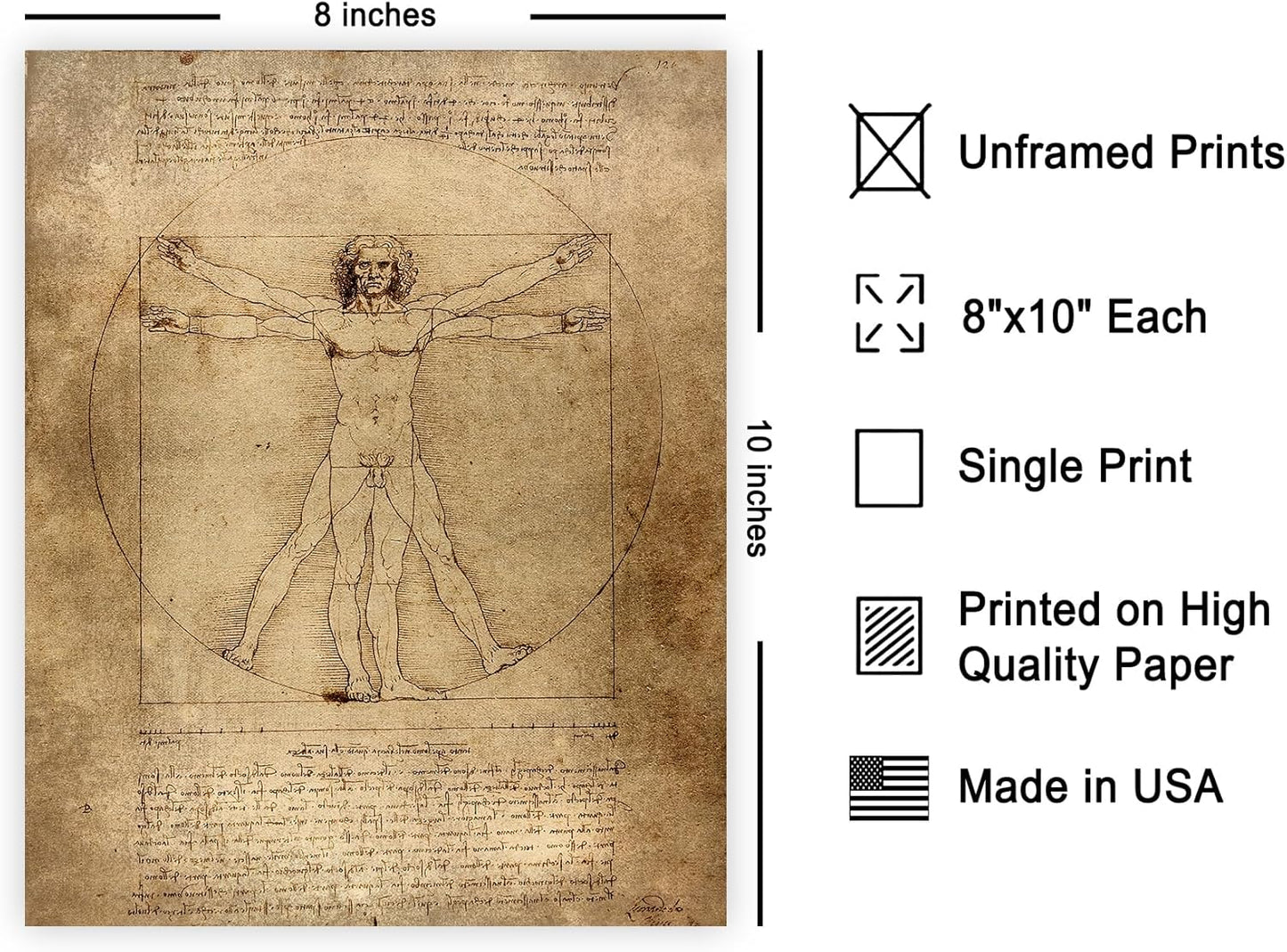 Poster Master Vintage Leonardo Da Vinci Poster - Retro Vitruvian Man Print - Drawing Art - Renaissance Art - Gift for Men & Women - Decor for Living Room, Bedroom or Office - 8x10 UNFRAMED Wall Art