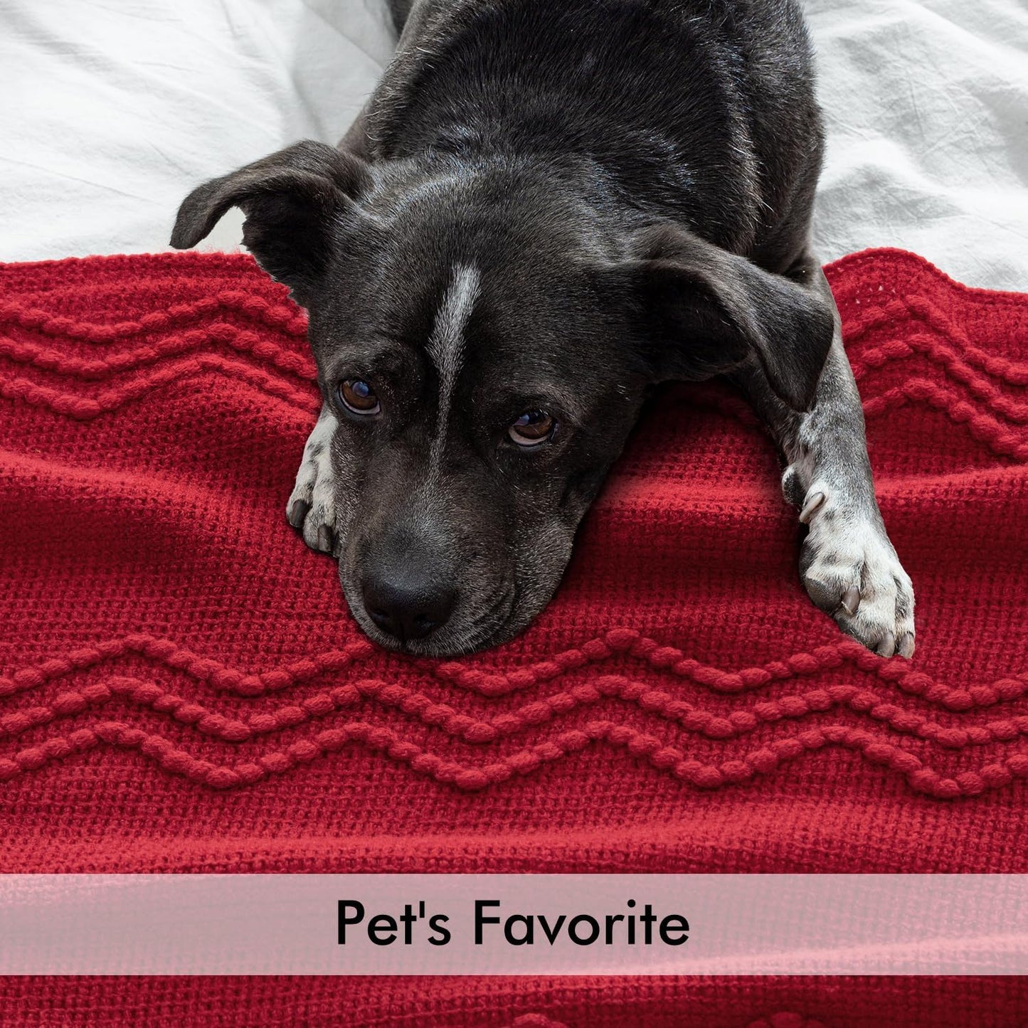 MIULEE Burgundy Red Knitted Throw Blanket for Couch Boho Textured Cozy Woven Blanket with Tassels for Sofa Chair Bed Living Room Acrylic Wave Pattern 50"x60"