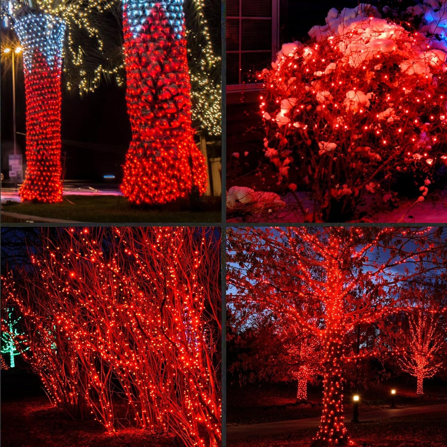 50LED String Lights,LED Christmas Lights,6" SPACING,Green Wire,RED Colour,Commercial Grade