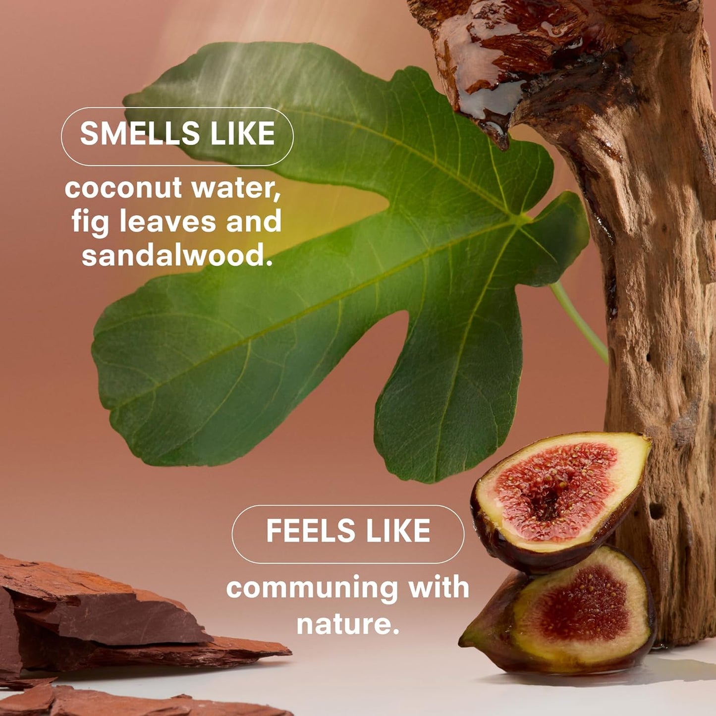 Boy Smells - Woodphoria Scented Candles for Men and Women - 8.5 oz - Soy, Coconut Wax Candle Blend - Aromatic Candles for Home with Fig, Sandalwood and Jasmine - 50-Hour Burn - Cotton Wick