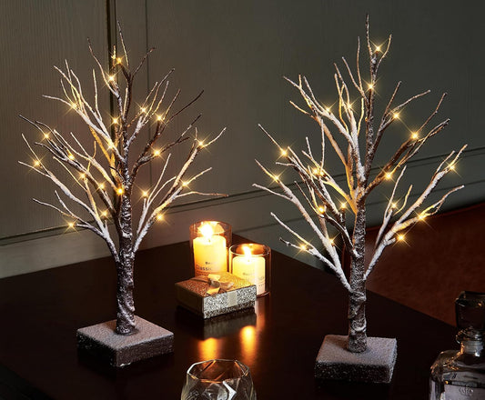 Hairui Pre Lit Tabletop Snow Dusted Tree with Timer 24LED 18IN Battery Operated for Christmas Valentine Party Decoration 2 Set