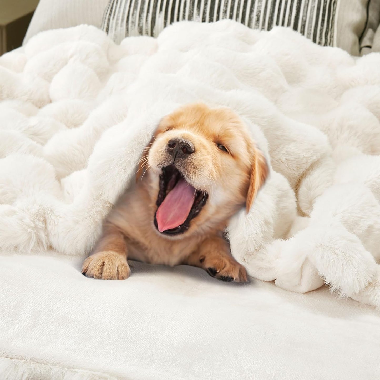 DREAMNINE Oversized Soft Thick Fuzzy Faux Rabbit Fur Throw Blanket Twin Size 60" x 71", Double Sided Comfy Plush Warm Shaggy Fluffy Blankets, Luxury Cozy Cute Furry Blanket for Bed Couch, Cream White