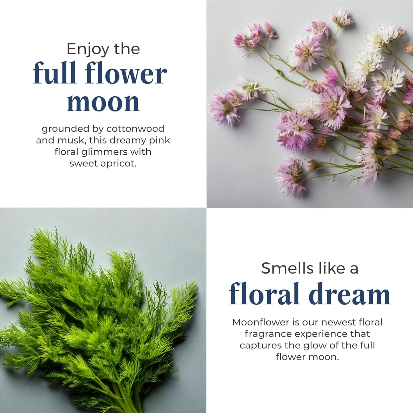 PartyLite 3-Wick Jar Candle, Highly Fragranced Clean Burning Glass Candle, 25-45 Hours Burn Time (Moonflower)