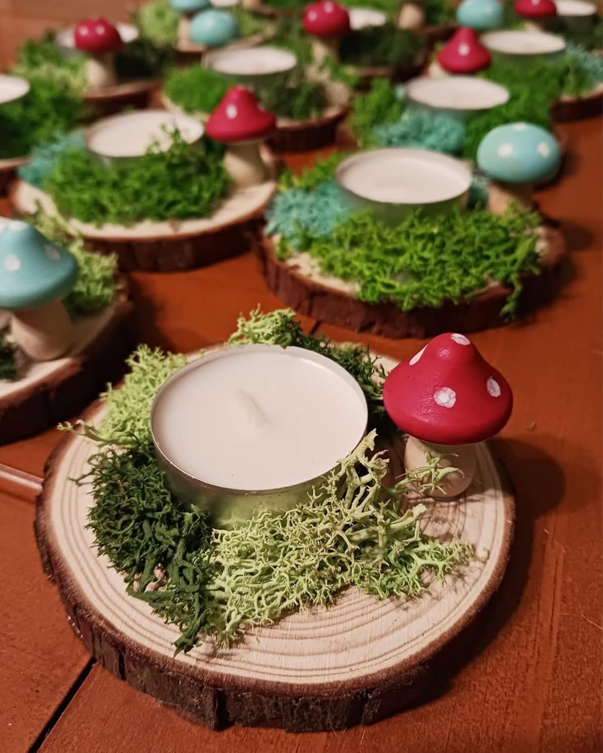 Natural Wood Slices 30 Pcs 2-2.4 Inches Craft Unfinished Wood Kit Predrilled Wooden Rounds Bark, with Hole, Wooden Discs for Crafts Ideal for DIY Projects, Christmas Ornaments