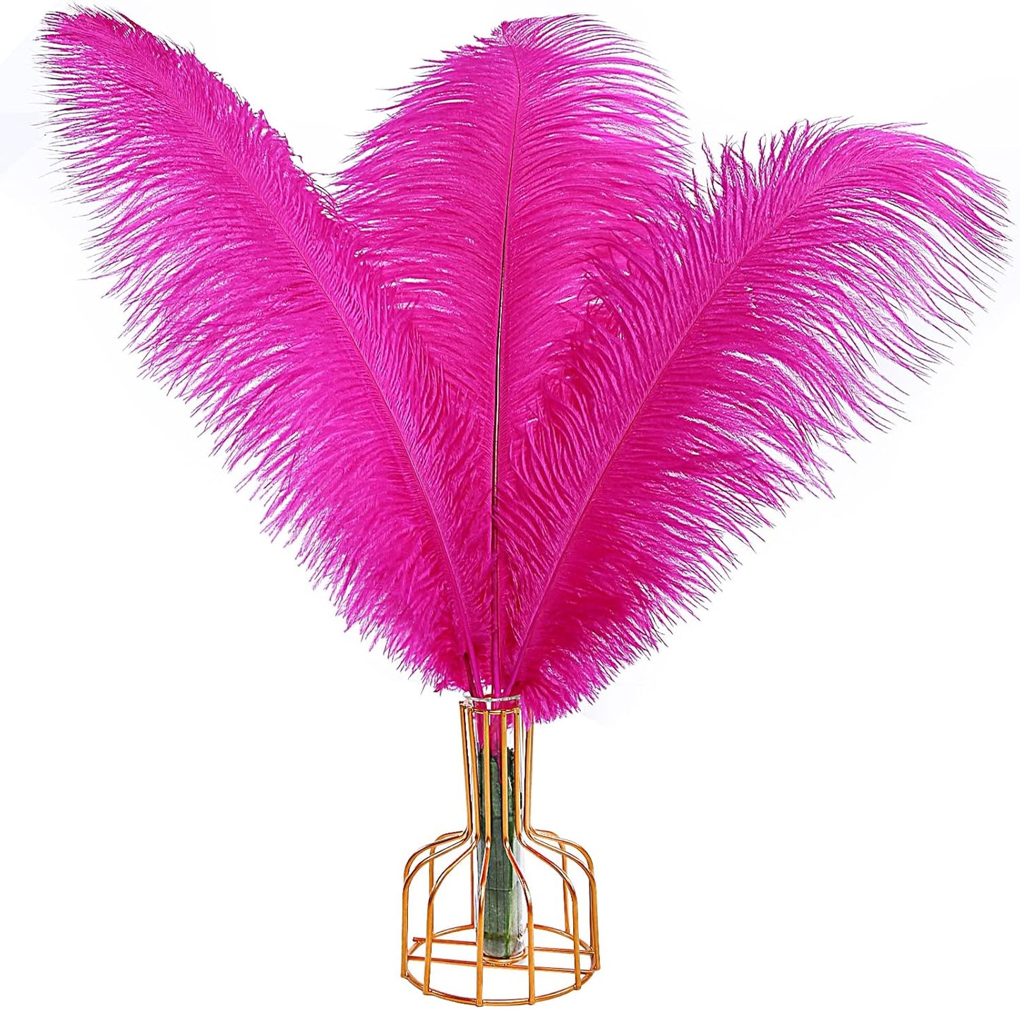 THARAHT Hot Pink Ostrich Feathers 12pcs Large Natural Bulk 12-14Inch 30cm-35cm for Wedding Party Centerpieces Easter Gatsbi and Home Decoration Feathers