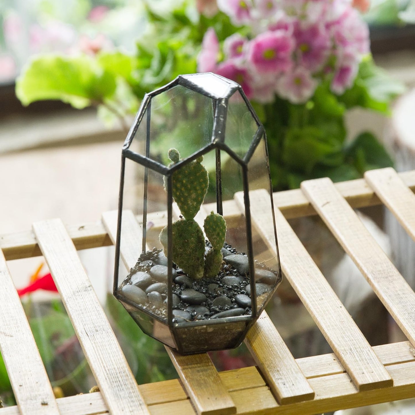 NCYP Small Geometric Terrarium - 4.1" x 3.5" x 5.9" Miniature Irregular Glass Terrarium Planter for Succulent Air Plants - Tabletop Garden Display Container, Black (No Plants, No Door)